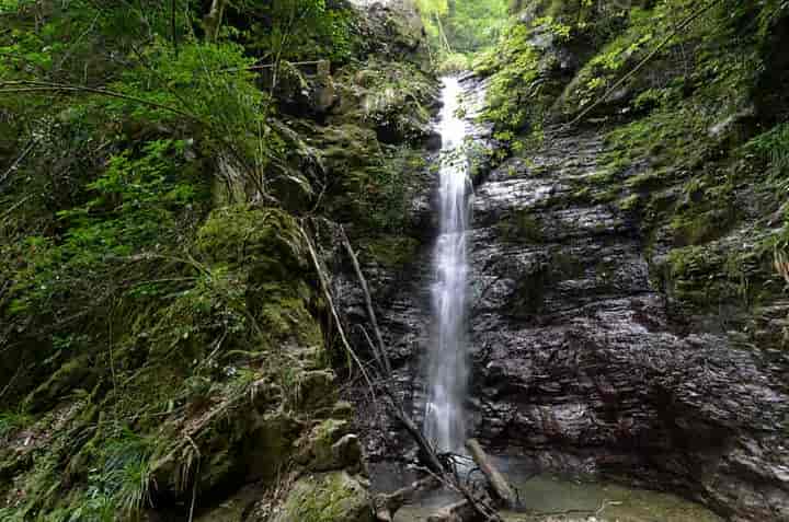 白糸の滝・上段の滝